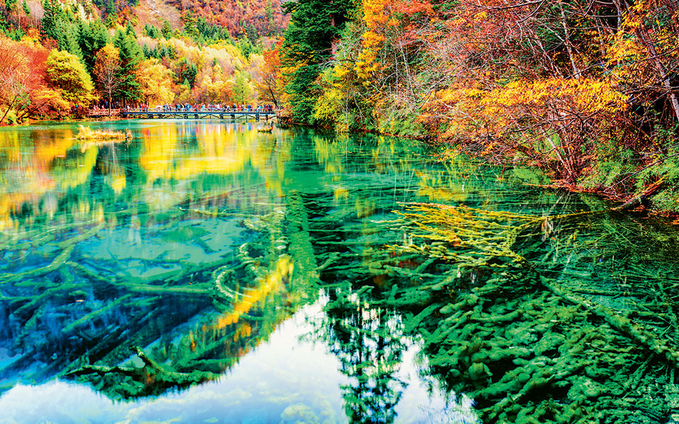 shutterstock_450546169