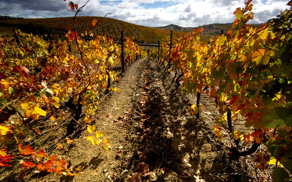 shutterstock_97568237