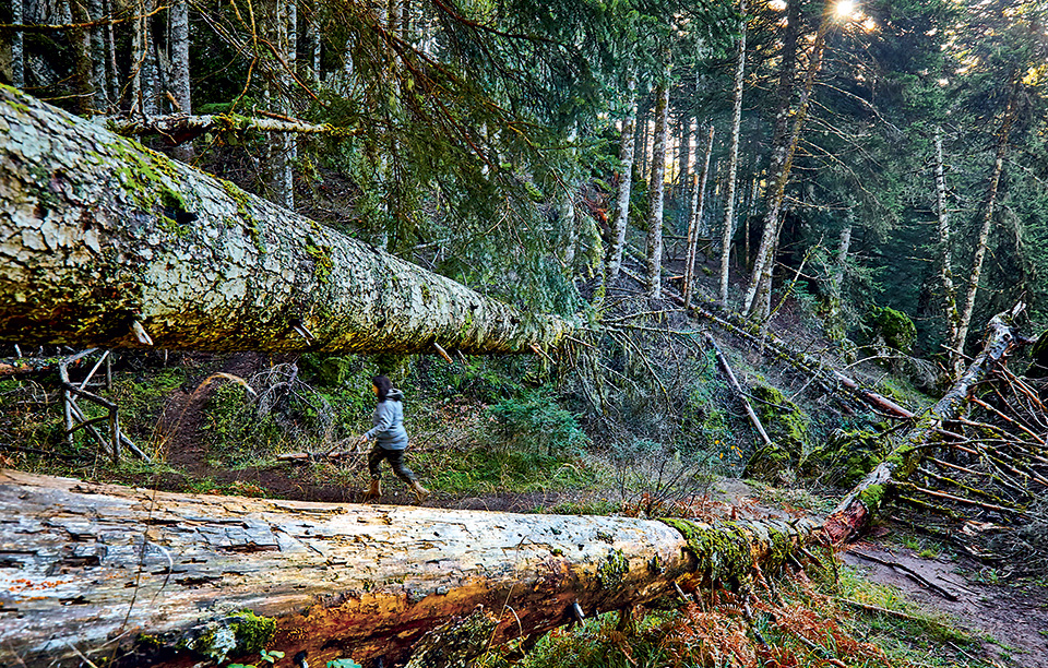 20161119_agoriani_-329