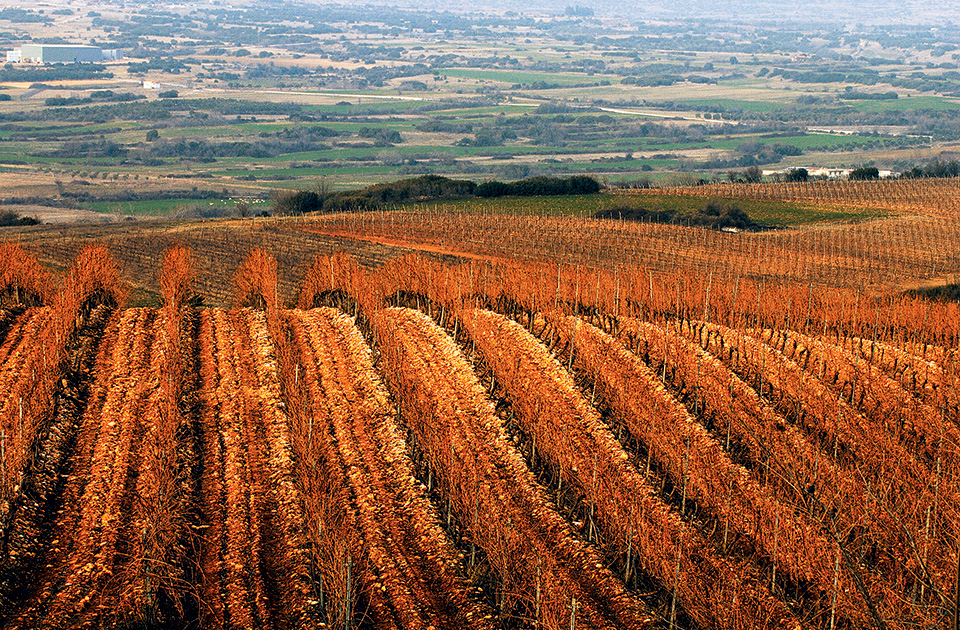 drama-oinopoieia-n-lazaridi-agora-55