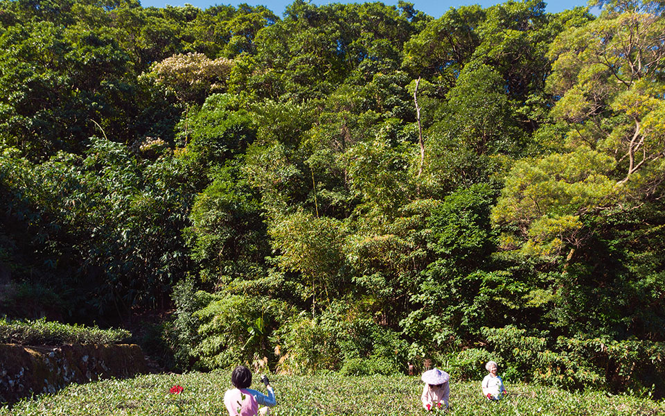 gettyimages-148616555