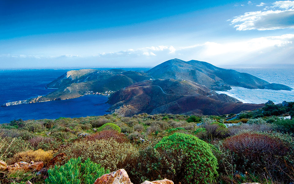 mani-041-tenaro-806a