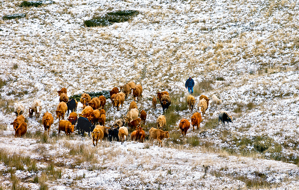 kaimaktsalan-013-xionodrom-copy