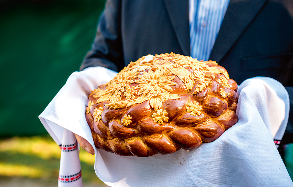 shutterstock_515508130