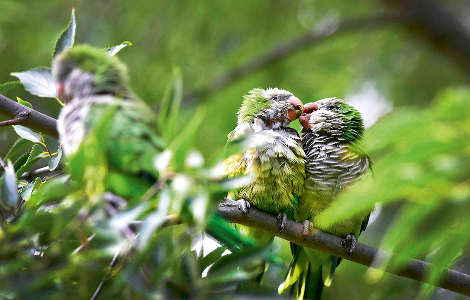 62264spain-environme09-23-16