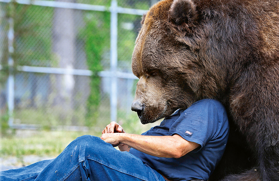 842882016-ap-ye12-05-16