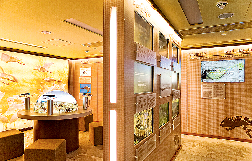 navarino-natura-hall-_1