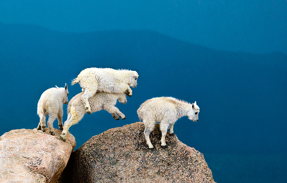 shutterstock_5691745a