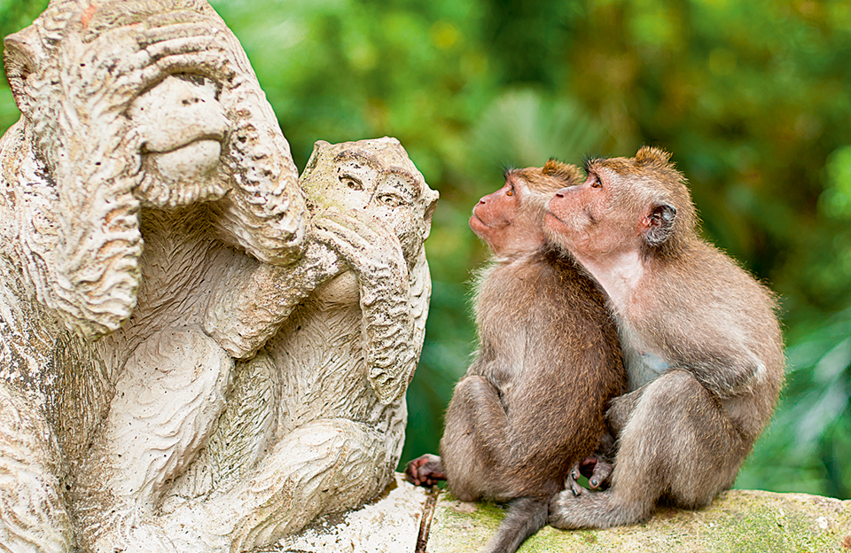 shutterstock_99610196