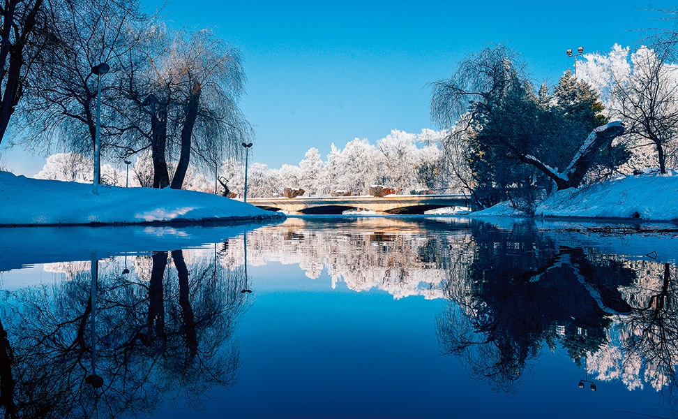 shutterstock_569489194