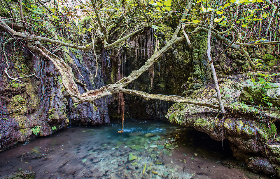 shutterstock_404446489