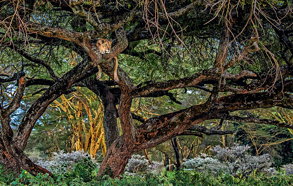 1655_3847_deveninishanthamanjula_srilanka_nationalawards_2017