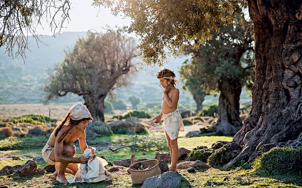 olive_mg_0906