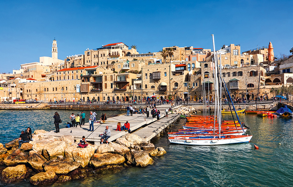 shutterstock_264929405