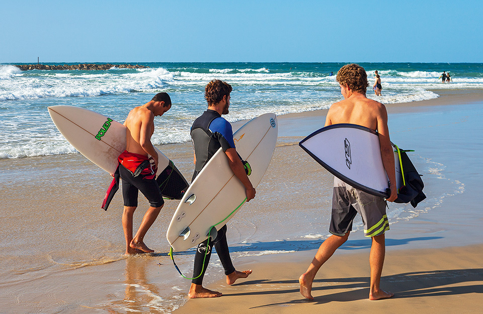 shutterstock_561351310