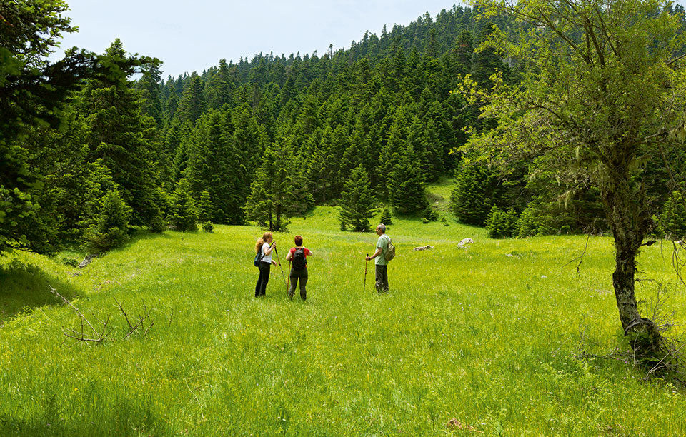 elatos_daniilidis_2--2