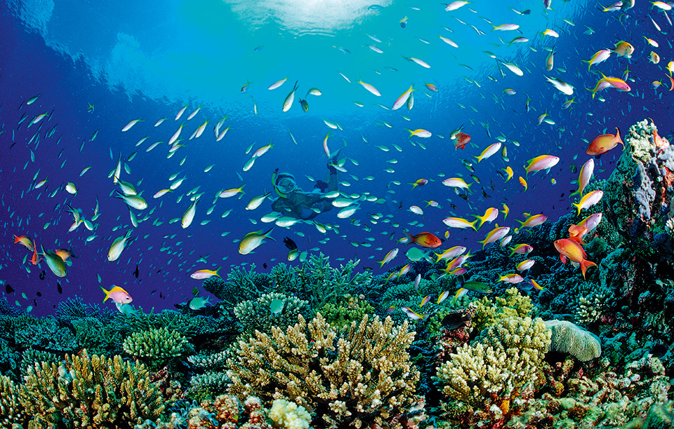 gettyimages-549035117