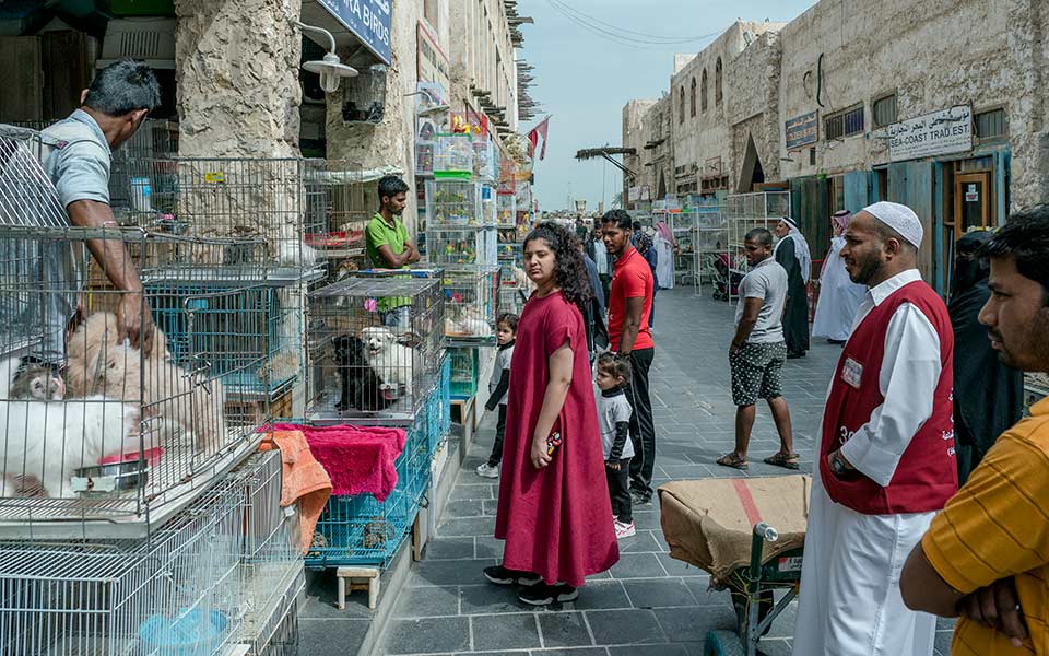 qatar_hi-res_dsc6709-web