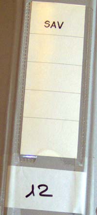 sav