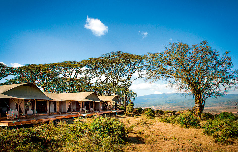 29493726155_ab35694b3e_o