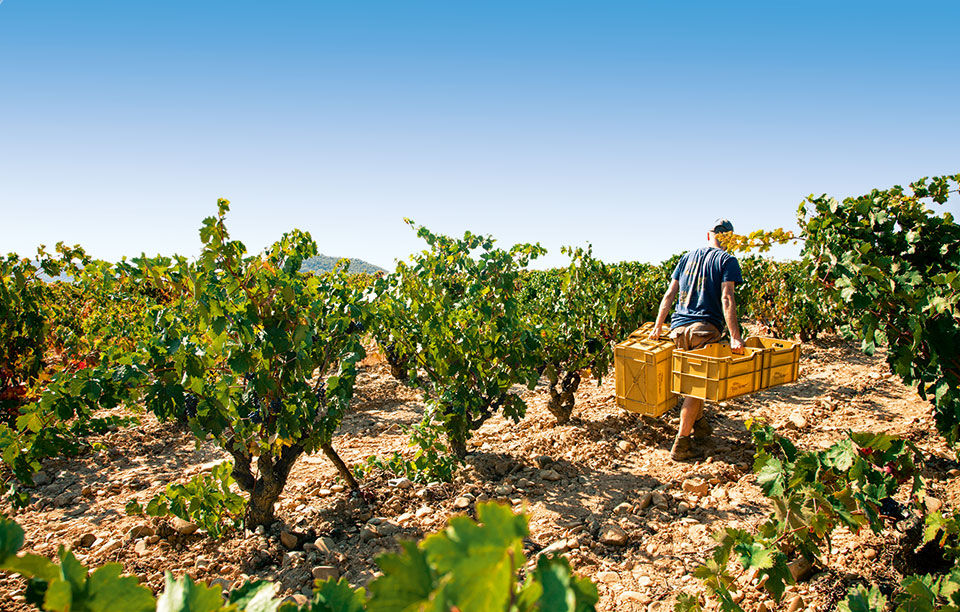 gettyimages-530233534