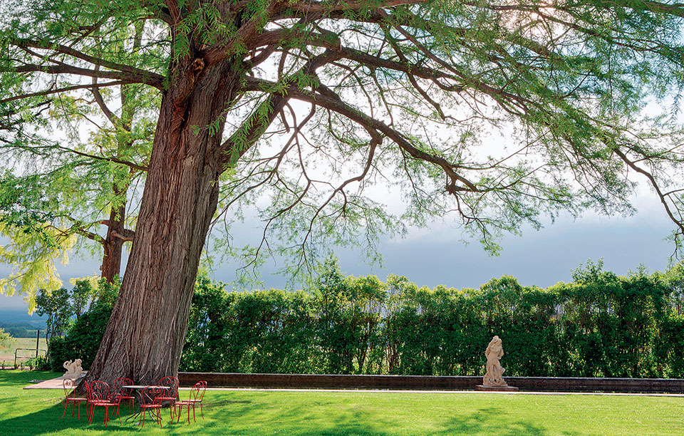 _u9a1096--gregoire-gardette