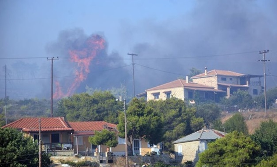 kalamos