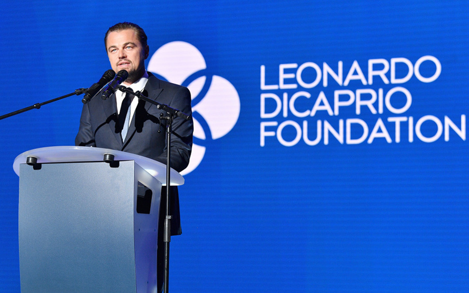 leonardo-dicaprio-foundation