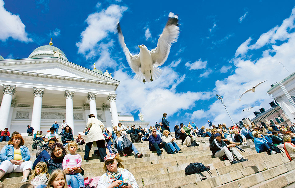 seagull-and-cathedral_92_5