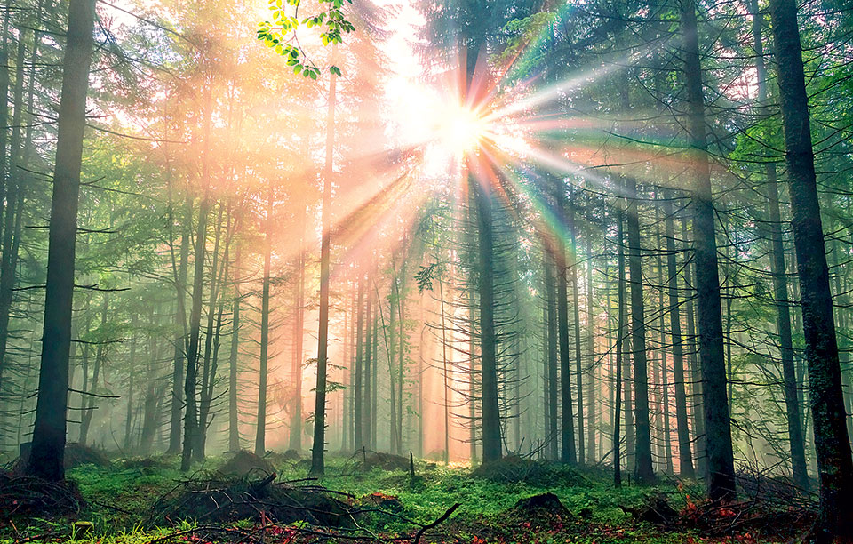 shutterstock_374230813