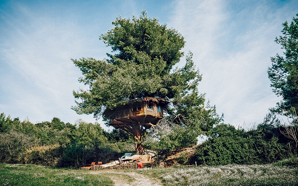 treehouse