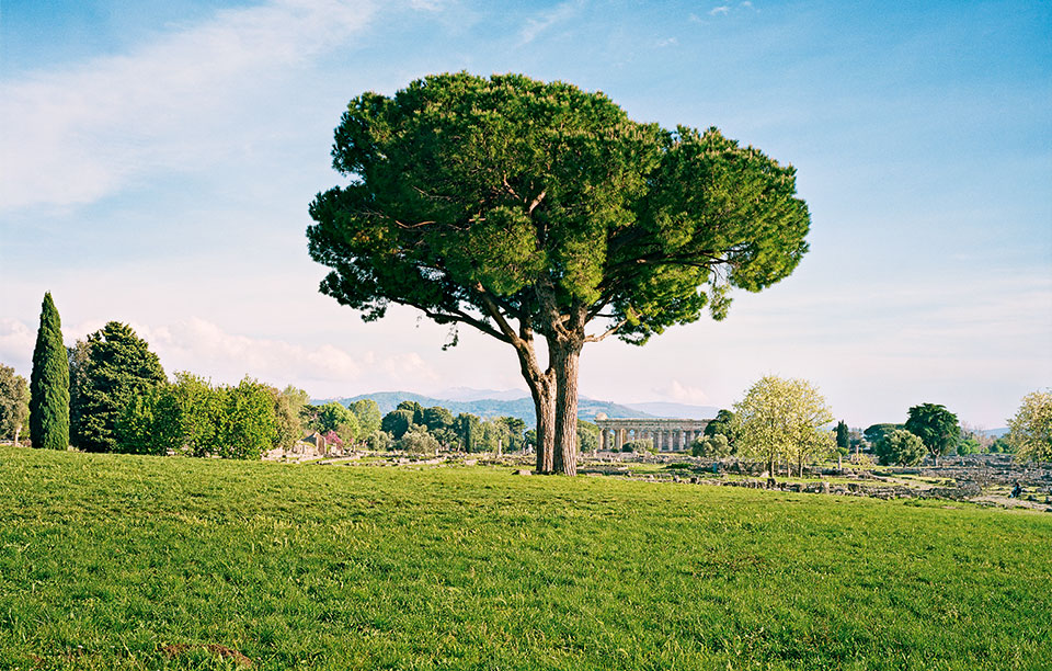 68611007mcalccropped