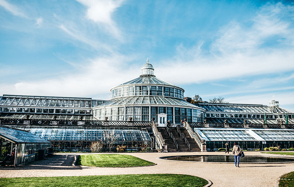 gettyimages-520626334