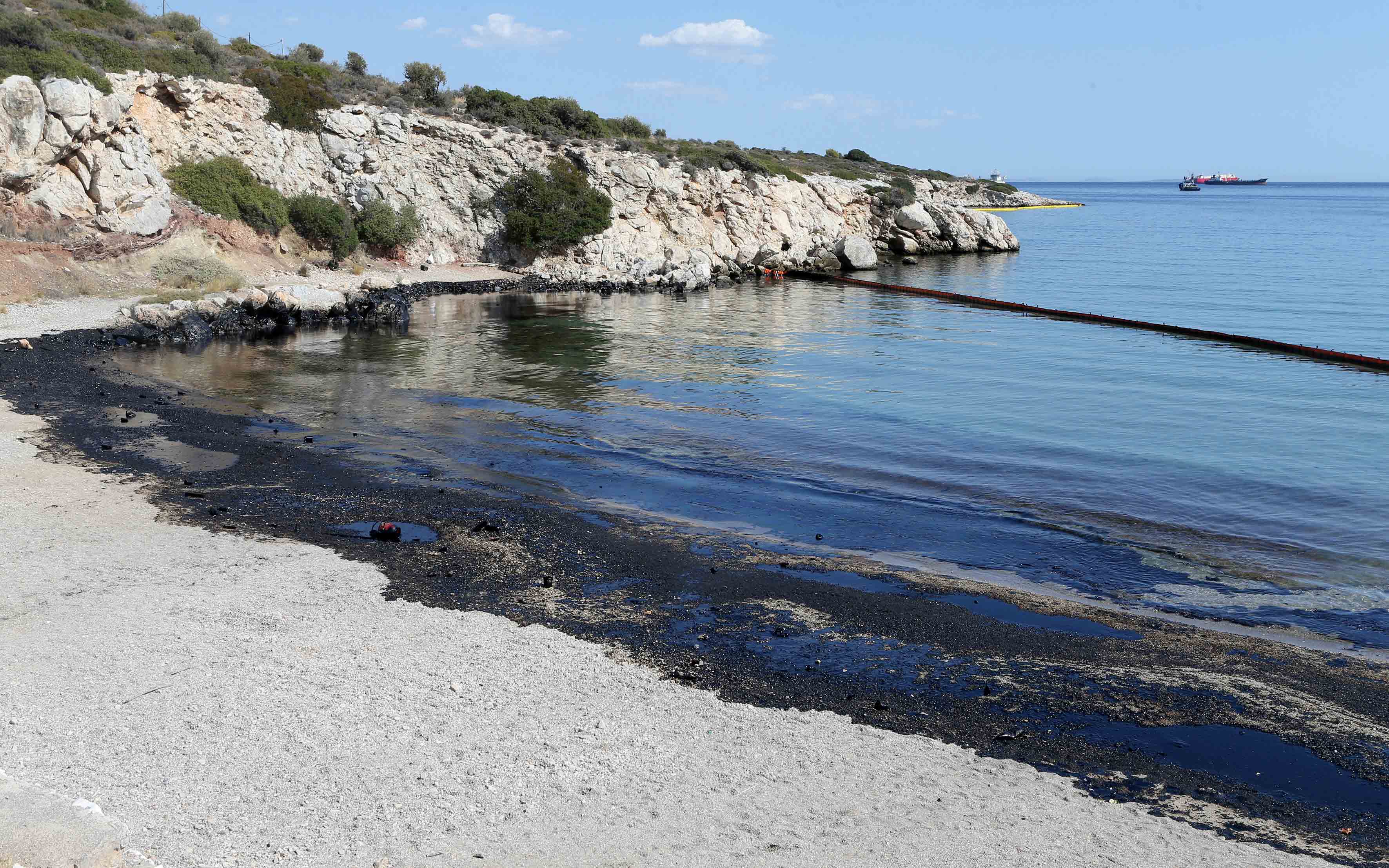 petrelaiosalamina1