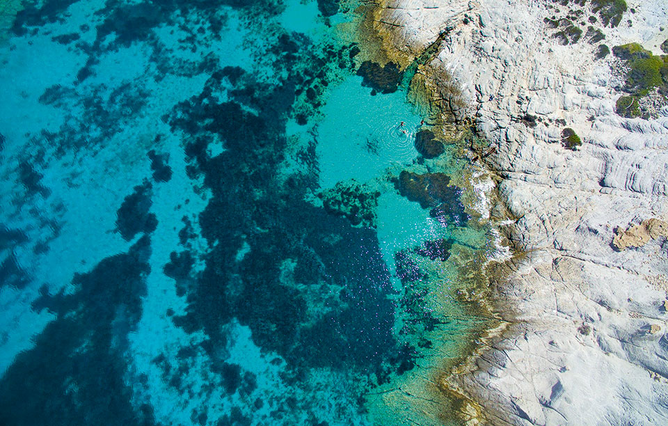 21908153_10155198690209121_1982854443_o