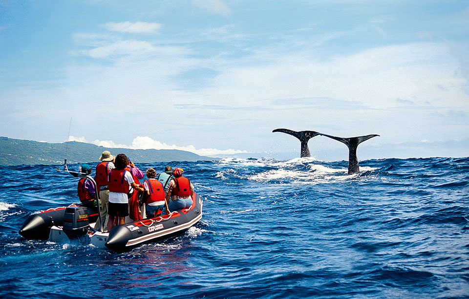 gettyimages-124770523