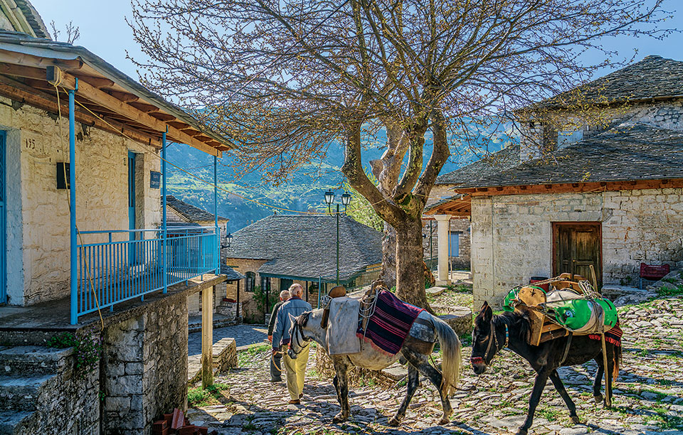 kalarites-agogiates-01