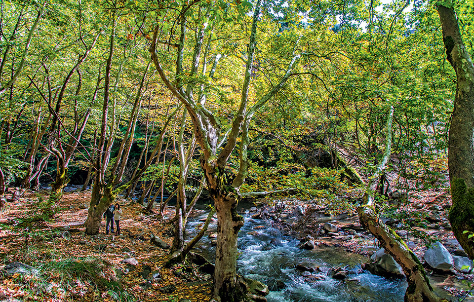 karpenisi-010-karpenisiotis-0244