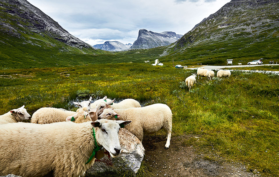 norway_scenic_routes_adv22_2_1601629