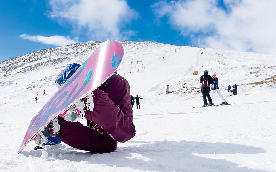 shutterstock_243422533