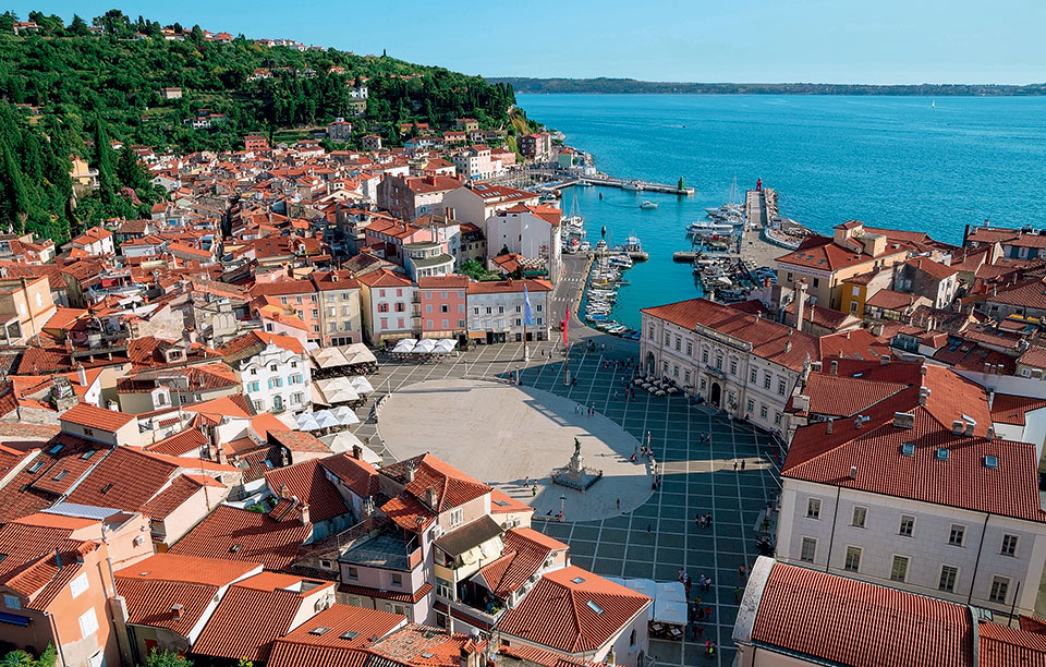 shutterstock_492858469