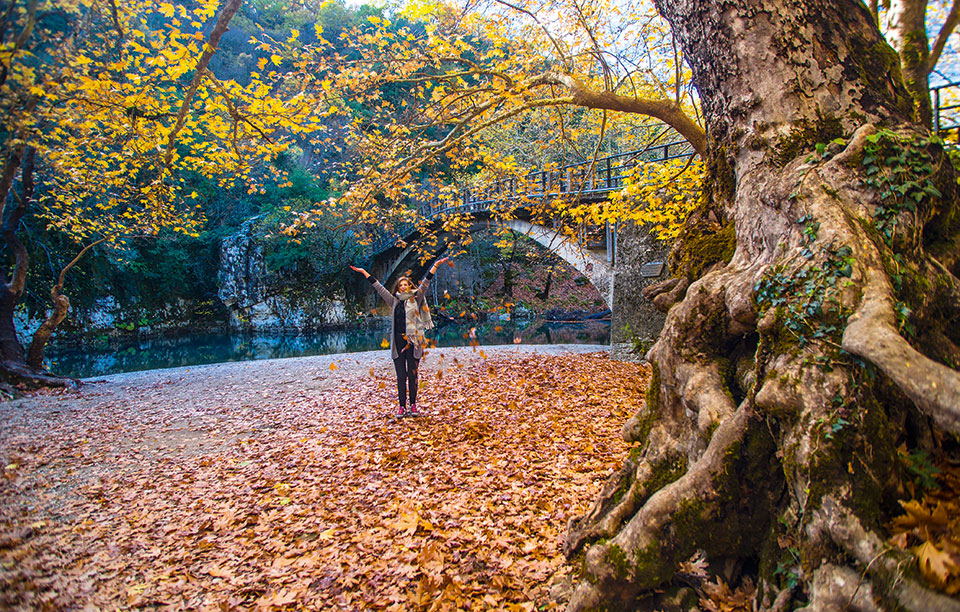 zagoria-016-voidomatis-0181