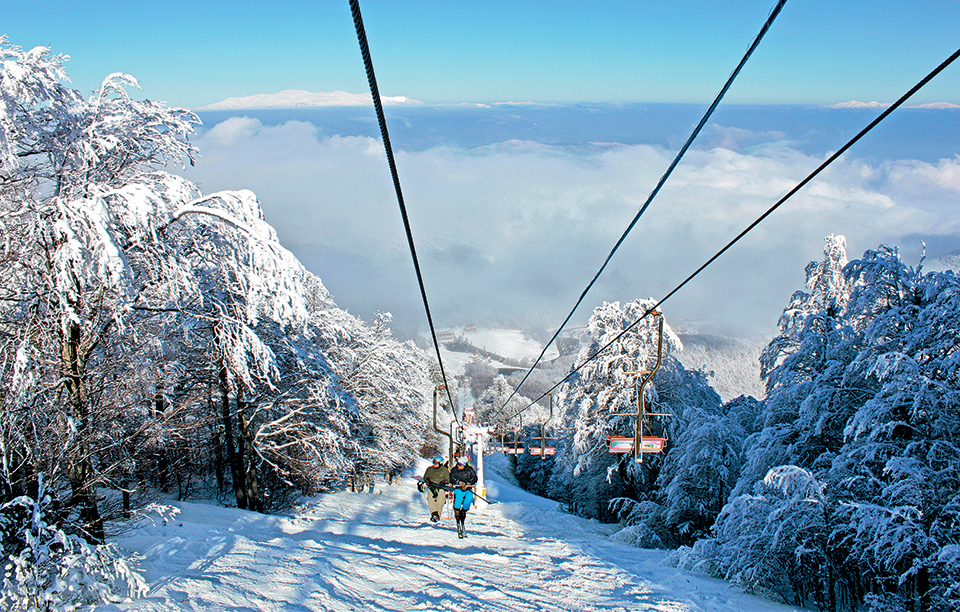 gettyimages-508905994-rf-taxidia-