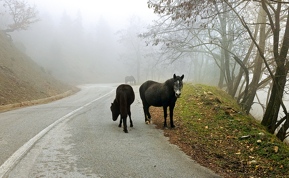 gyro-apo-tin-limni-plastira