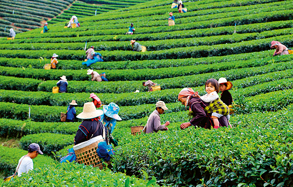 shutterstock_124614478