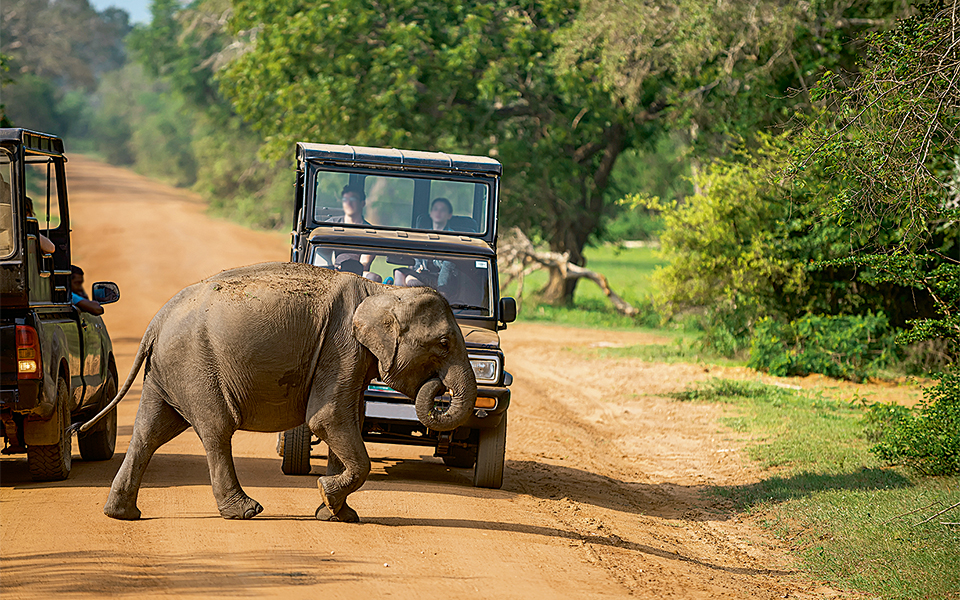 shutterstock_536203549