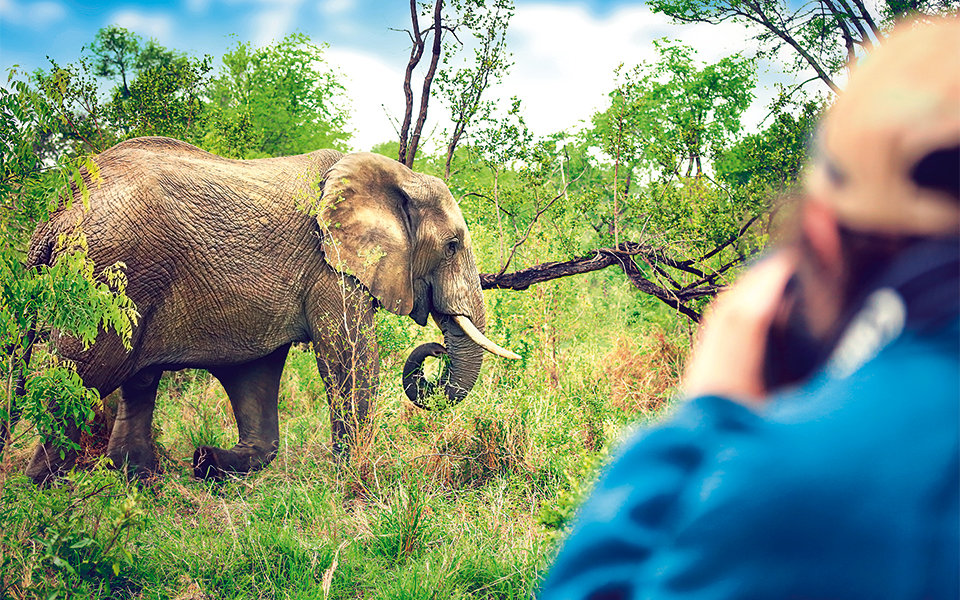 shutterstock_610856981