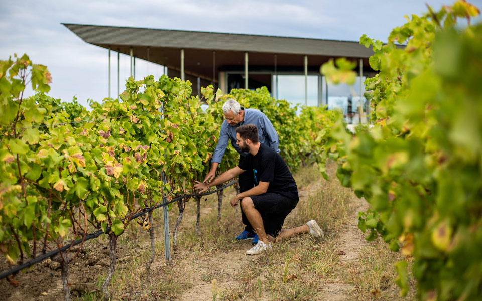 re-ktima-gerovasiliou-33