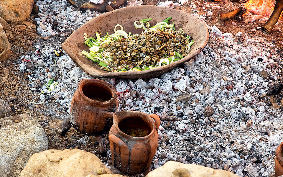 c-papanikolopoulos_2011_h