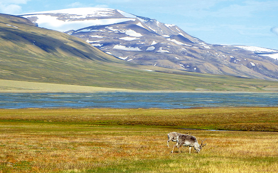 trollsteinen--nordenkjoldtoppen--hiorthfjellet-15